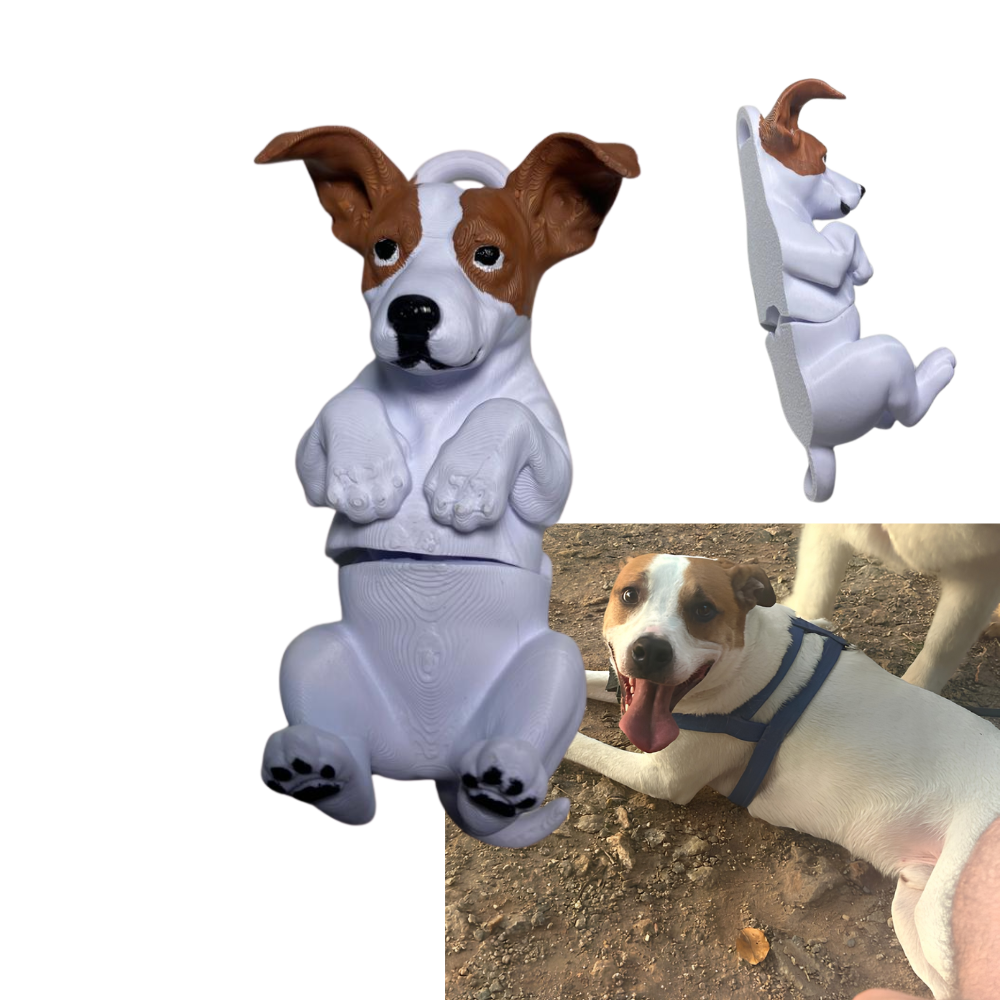 Chaveiro Amigo Pet